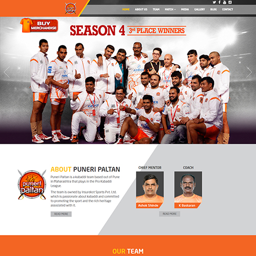 project-puneripaltan